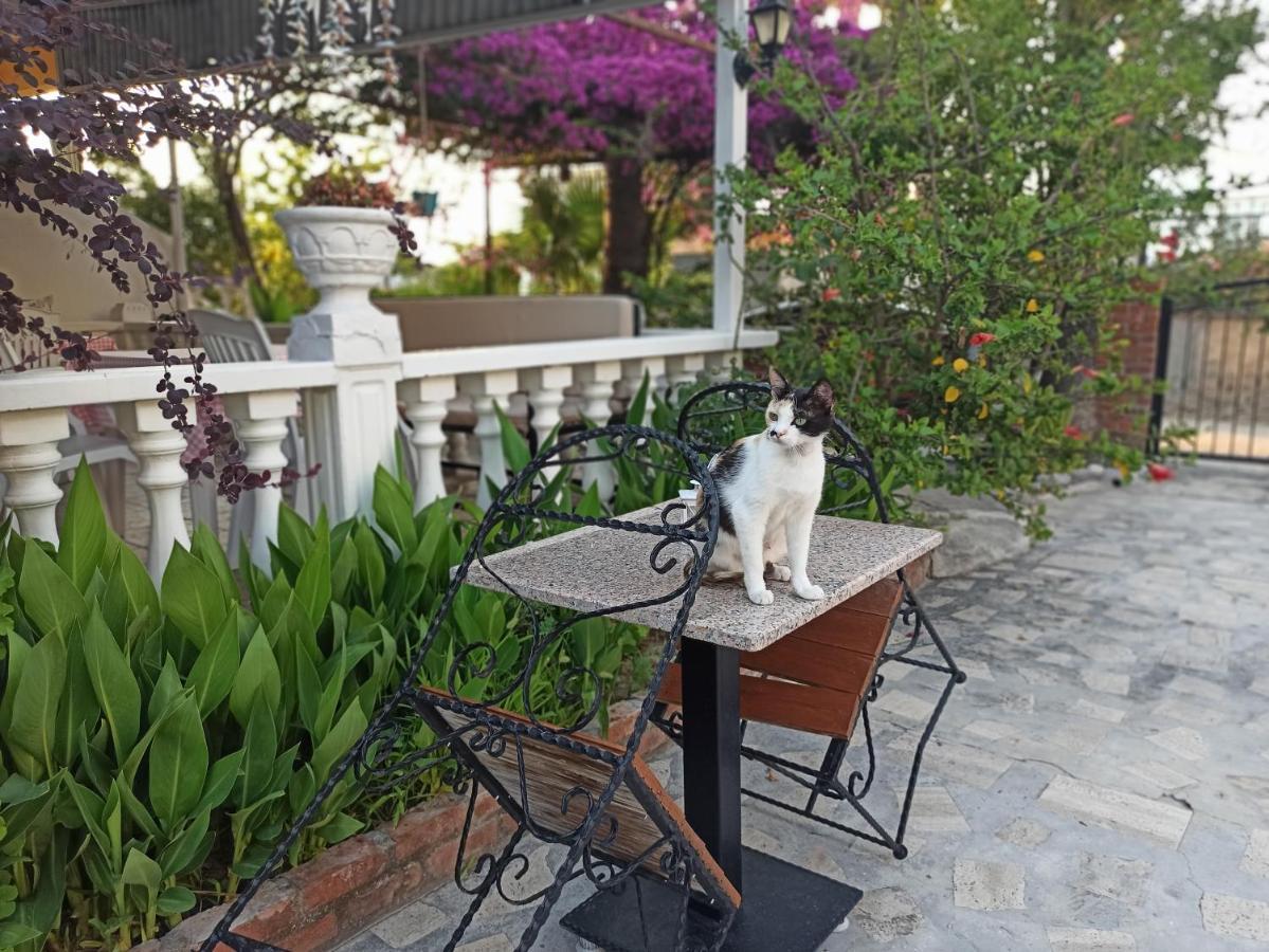 Isil Suit Apart Otel Dalyan Extérieur photo