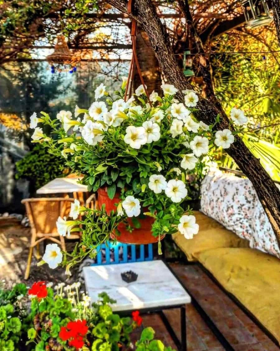 Isil Suit Apart Otel Dalyan Extérieur photo